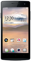 OPPO R6007