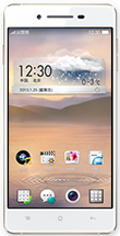 OPPO R1(R829T)